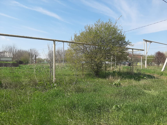 Объект по адресу Краснодарский край, Тихорецкий р-н, Алексеевская ст-ца, Западная ул, д. 75