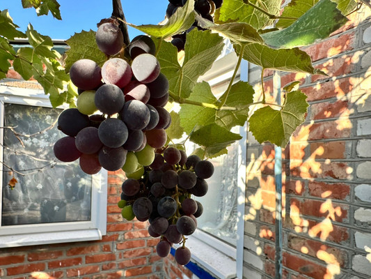 Объект по адресу Москва, Ленина ул, 5 