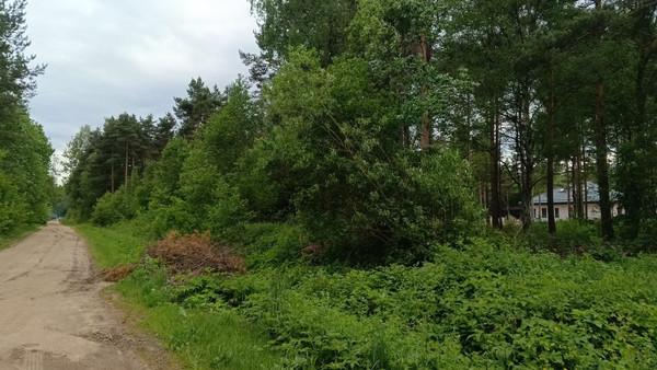 Объект по адресу Москва, Шлиссельбуржец тер. СНТ 