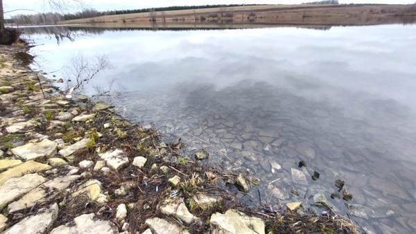 Объект по адресу Москва, Советская ул 