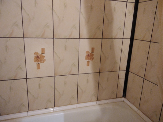 Объект по адресу Московская обл, Северово д, Подольская ул, д. 39