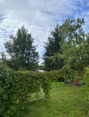 Объект по адресу Ленинградская обл, Лужский р-н, Массив Мшинская тер, ЛОС тер. СНТ