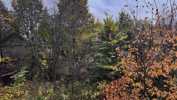 Объект по адресу Москва, Пестово п 