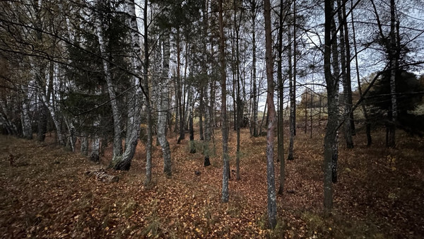 Объект по адресу Москва, Пестово п 