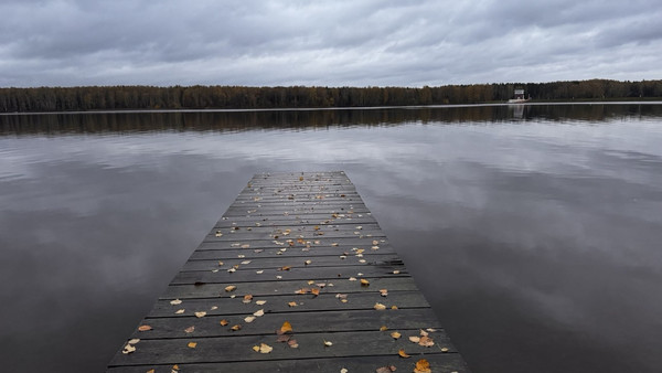 Объект по адресу Москва, Пестово п 