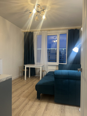 Объект по адресу Санкт-Петербург г, Крузенштерна пр-кт, д. 4