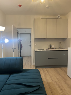 Объект по адресу Санкт-Петербург г, Крузенштерна пр-кт, д. 4