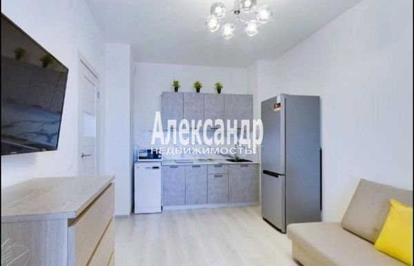 Объект по адресу Санкт-Петербург г, Кузнецовская ул, д. 58к3