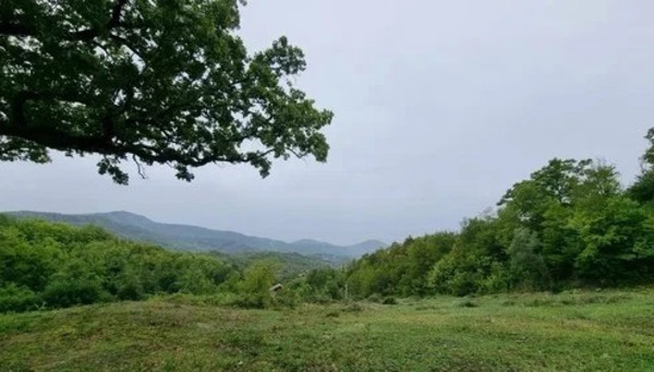 Объект по адресу Москва, Агуй-Шапсуг аул 