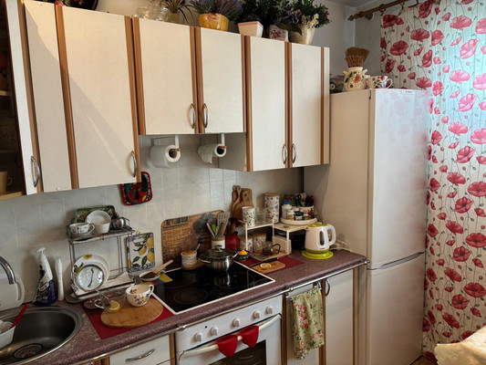 Фото квартиры по адресу Санкт-Петербург, Новаторов б-р, 21к3 