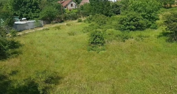 Объект по адресу Москва, Лесная Поляна (Здоровье тер. СНТ) ул 