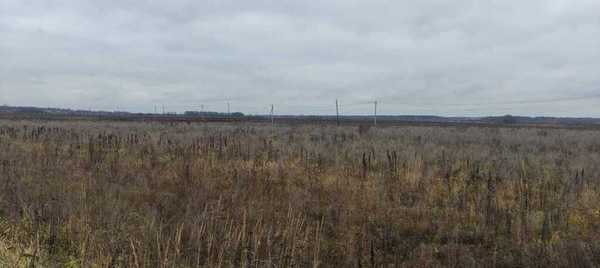 Объект по адресу Московская обл, Коломенский р-н, Возрождение п