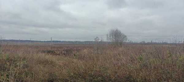 Объект по адресу Московская обл, Коломенский р-н, Возрождение п