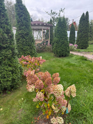 Объект по адресу Москва, Раменье гск, 50 