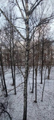 Объект по адресу Москва, Болотниковская ул, 51к2 