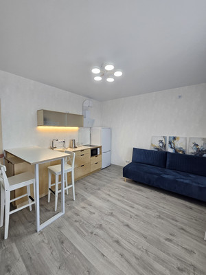 Объект по адресу Санкт-Петербург, Реки Каменки наб, 13к3 