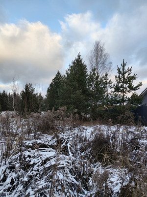 Объект по адресу Москва, Минино д 