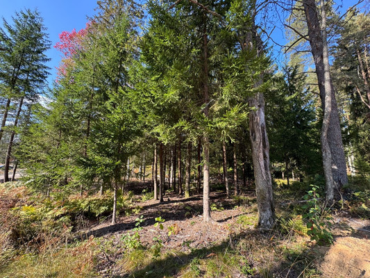 Объект по адресу Москва, Бор д 