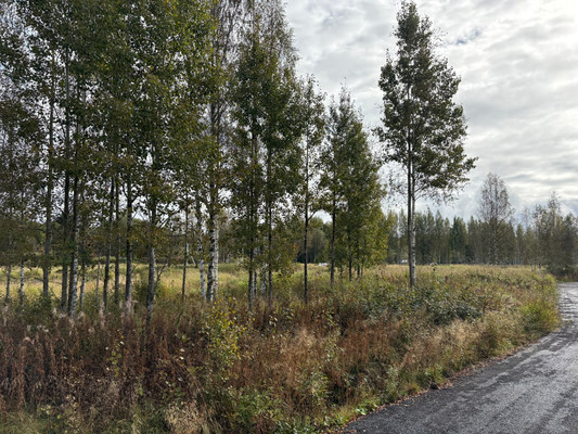 Объект по адресу Москва, Грузино-Керро массив 