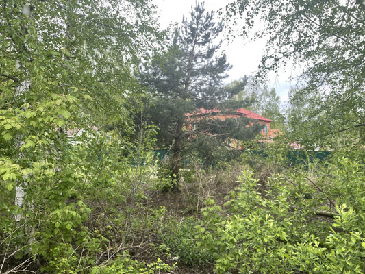 Объект по адресу Москва, СНТ Пенсионер тер 