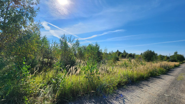 Объект по адресу Московская обл, Сергия Радонежского ул
