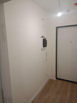 Объект по адресу Санкт-Петербург г, Пахомовская ул, д. 14к2