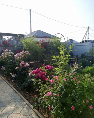 Объект по адресу Москва, Сосновая ул 