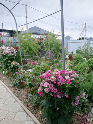 Объект по адресу Москва, Сосновая ул 