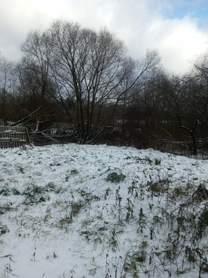 Объект по адресу Москва, СНТ Химик ОЗ ГИАП тер 