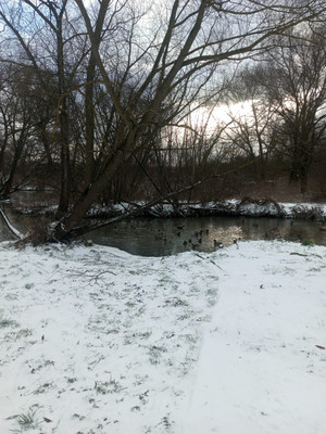 Объект по адресу Москва, СНТ Химик ОЗ ГИАП тер 