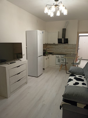 Объект по адресу Санкт-Петербург, Владимира Пчелинцева ул, 4 