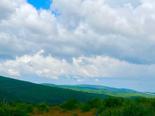 Объект по адресу Москва, Красная ул 