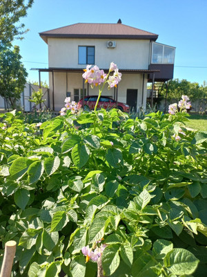 Объект по адресу Москва, Песчаный пер, 11 