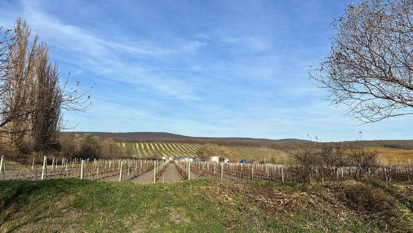 Объект по адресу Краснодарский край, Натухаевская ст-ца, Мира ул