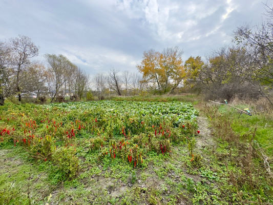 Объект по адресу Москва, Коммунаров ул 