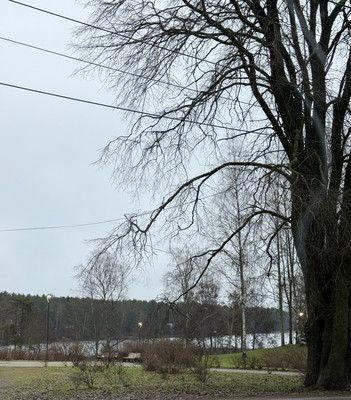 Фото квартиры по адресу Москва, Шалавина ул, 49 