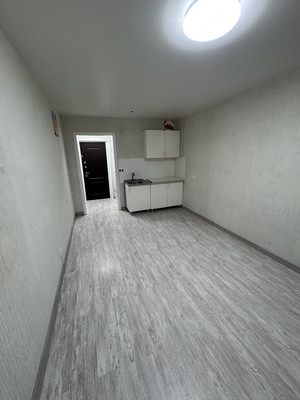 Фото квартиры по адресу Ленинградская обл, Всеволожский р-н, Дорога Жизни ш, д. 7к1