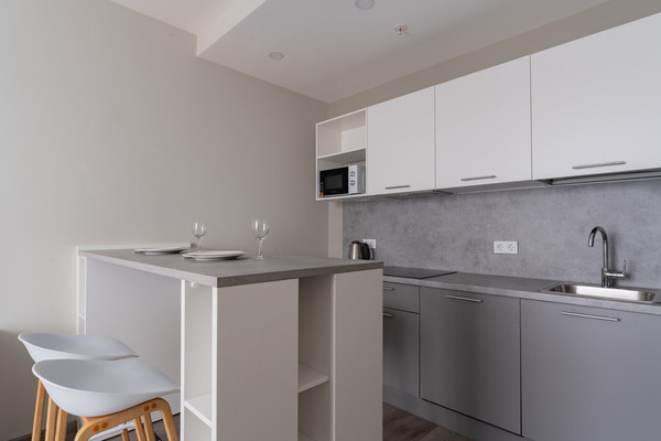 Объект по адресу Санкт-Петербург г, Витебский пр-кт, д. 99к1