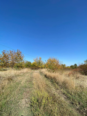 Объект по адресу Москва, Кизиловая (Ротор снт) ул 