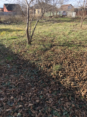 Объект по адресу Москва, Луч снт 