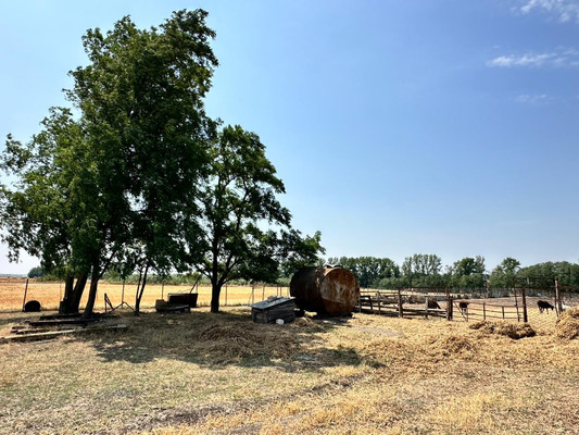 Объект по адресу Москва, Незамаевская ст-ца 