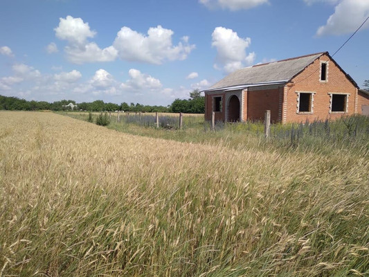 Объект по адресу Краснодарский край, Тихорецкий р-н, Алексеевская ст-ца, Школьная ул, д. 126
