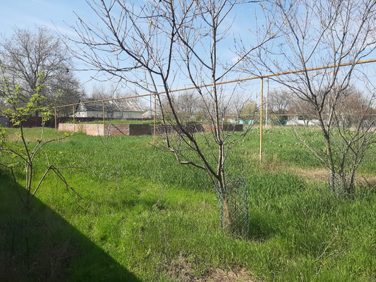 Объект по адресу Краснодарский край, Тихорецкий р-н, Алексеевская ст-ца, Западная ул, д. 75