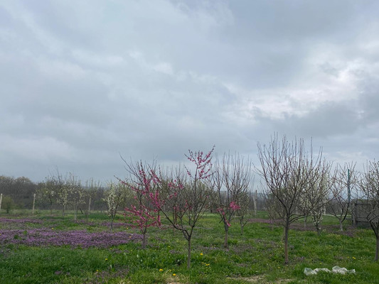 Объект по адресу Москва, Северная ул 