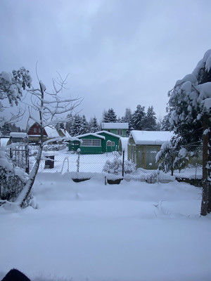 Объект по адресу Москва, СНТ Свет массива Форносово тер, 193 