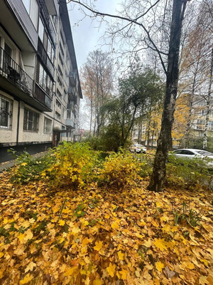 Фото квартиры по адресу Санкт-Петербург, Альпийский пер, 19Ак1 