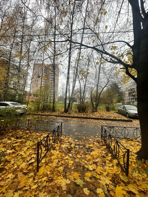 Фото квартиры по адресу Санкт-Петербург, Альпийский пер, 19Ак1 