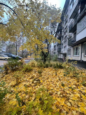 Фото квартиры по адресу Санкт-Петербург, Альпийский пер, 19Ак1 