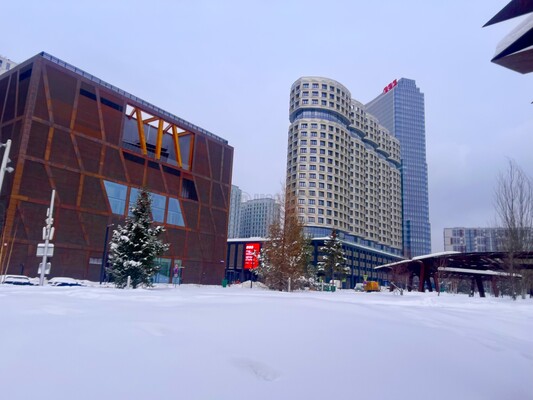 Объект по адресу Москва г, Братьев Весниных б-р, д. 1