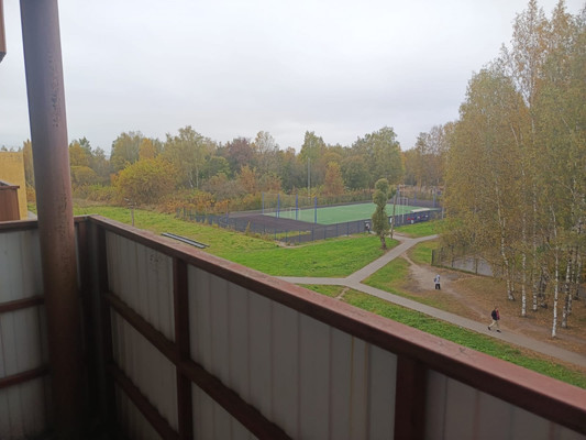 Объект по адресу Москва, Новый Свет п, 30 